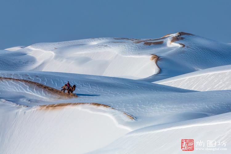 《莽原踏雪》 摄影:李玉山 沙龙三 风光组 PAAT金牌.jpg