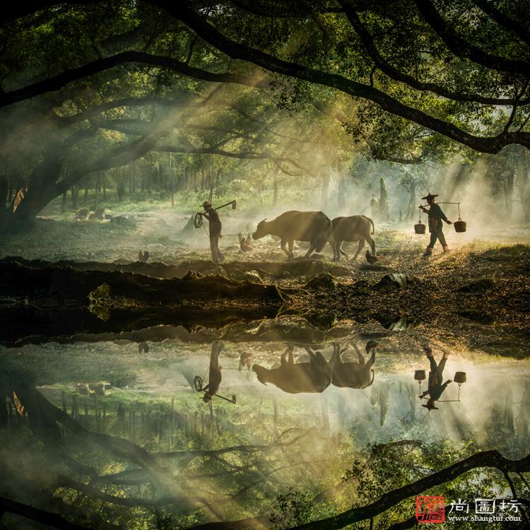 《晨曲》 摄影:许平 沙龙三 彩色开放组 PAAT优异证书.jpg