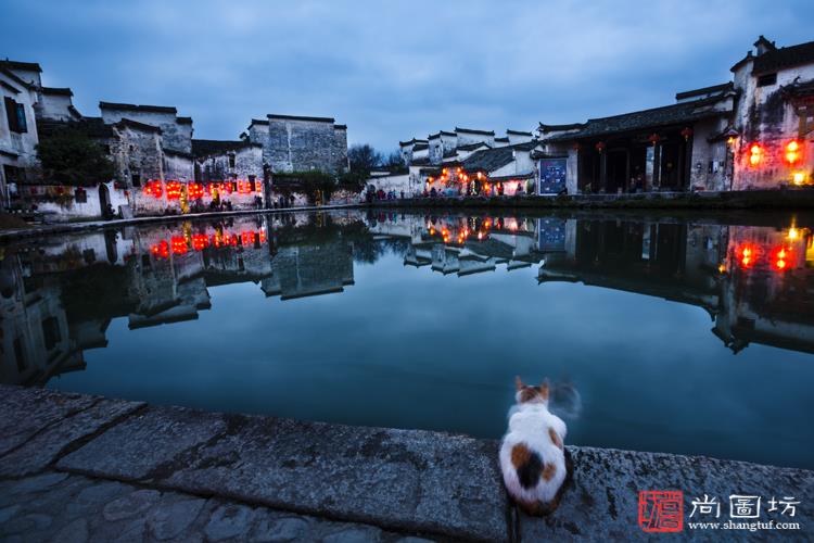 《守夜》 摄影:严道明 沙龙一 彩色开放组.jpg