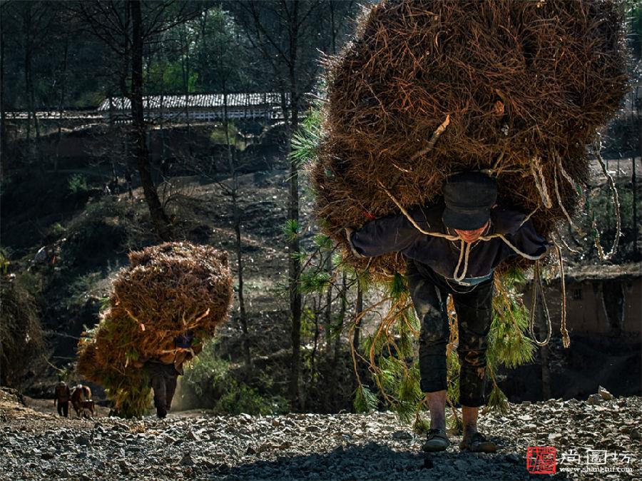 《母亲的背》 摄影:白淑珍 旅游数码组.jpg