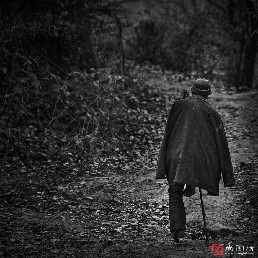 《孤影》 摄影:黄建明 沙龙二Novi Sad 黑白开放组.jpg