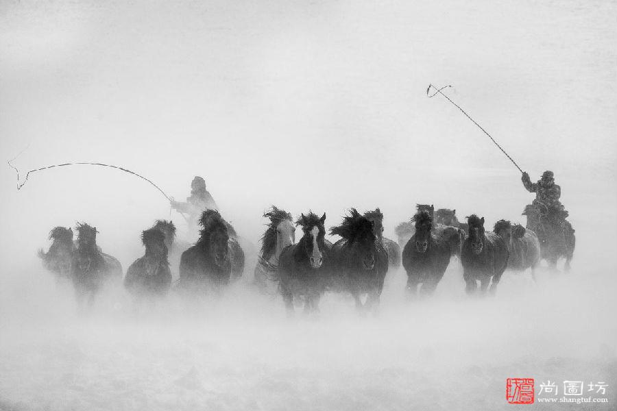 《风雪兼程》 摄影:王士波 获2016第二届塞尔维亚TOUR三地摄影巡回展FSS金牌.jpg