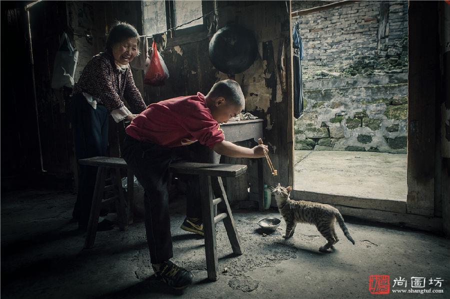 《逗猫》 摄影:张天明 旅游摄影组 IUP铜牌.JPG